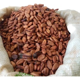 Cacao En Grano Seco Beneficiado Tres Haciendas 5 Kilos