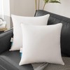 Oubonun 28 x 28 Euro Pillow Inserts with 100% Cotton