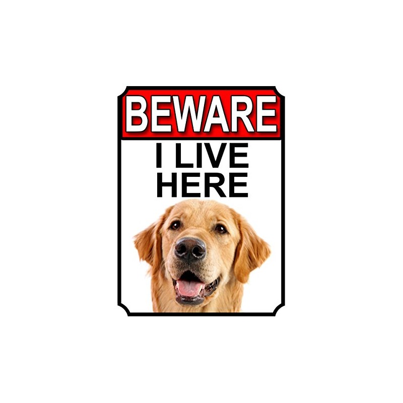 SHAWPRINT BEWARE I LIVE HERE METAL GATE SIGN GOLDEN RETRIEVER