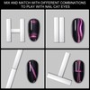 Vnjaoi 4 Pcs Mini Nail Magnet Set, Assembled Cat Eye