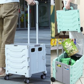 NEW 2-Tier Foldable Shopping Cart & Hand Trolley - 2-Wheel/4-Wheel with Top Cover NEW Foldable Shopping Cart (2-Wheel Mint)