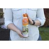 Ortho Home Defense Backyard Mosquito and Bug Killer Area Fogger