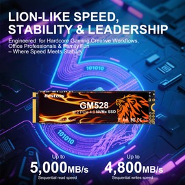 GM528 2TB M.2 SSD NVMe PCIe 2280 Internal Solid State Hard Drive, Up to 5000 MB/s, 3D NAND SLC Cache, SSD for Gaming PC Storage, Business Laptop, Home Entertainment, Creative Workflow