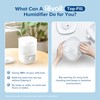 LEVOIT Top Fill Humidifiers for Bedroom, 2.5L Tank for Large