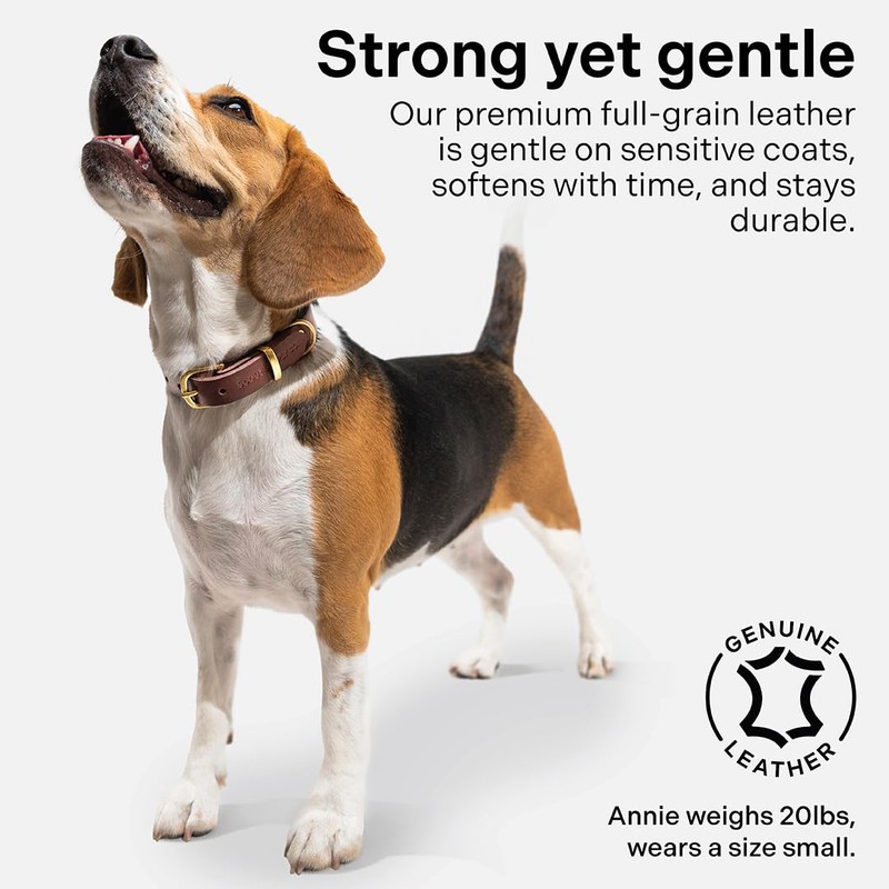 Scout Supply Classic Leather Dog Collar | Heavy Duty Thick