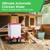 3 Gallon Chicken Waterer,Stainless Steels Automatic Chicken Waterer Feeder with