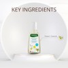 Rausch Heartseed Sensitive Shampoo For Irritated Scalp 200ml