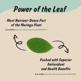 Spice Profile USDA Organic Moringa Powder, Lab Tested for Heavy Metals, Resealable 4 oz Pouch, Moringa Patta Powder, Polvo de Hoja de Moringa