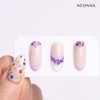 NEONAIL Nail Art Flowers Set - Dried Flowers - Nail