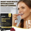 zooone- Pure Himalayan Shilajit Gummies – Premium Shilajit for Men