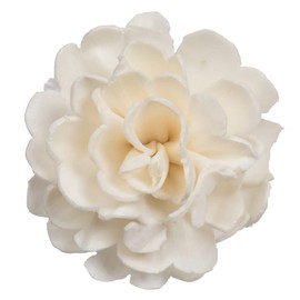 Vickerman 686379-1-3" Assorted Camellia Sola Head 24/bg (H7SFL044) Dried and Preserved Flowers