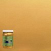 qt Modern Masters ME660 Pharaohs Gold Metallic Paint Collection, Satin