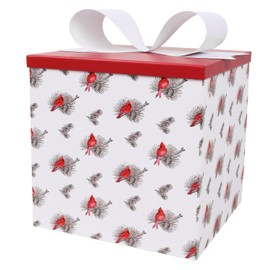 BIOBROWN Medium Christmas Gift Boxes with Lids for Presents, 9x9x9 Inches Cardinal Floral Design Collapsible Gift Box for Christmas, Party, Holidays