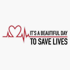 Magnet It's A Beautiful Day to Save Lives, Grey's Quote Magnet Bumper Sticker Car Magnet Flexible Reuseable Magnetic Vinyl 5"