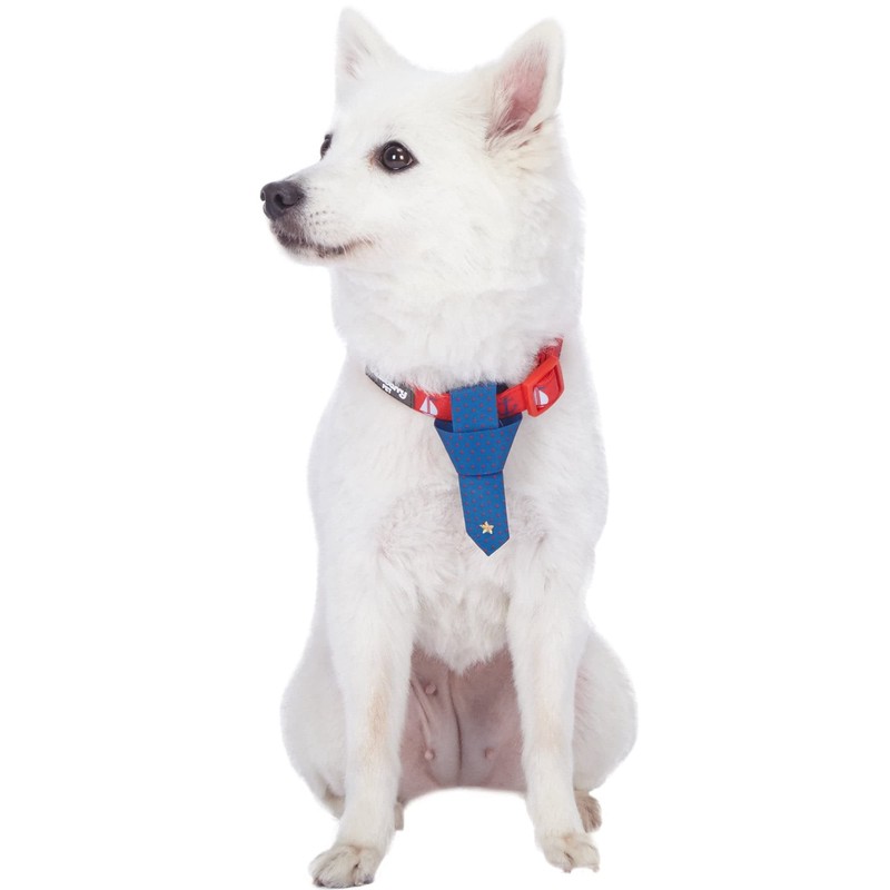 Blueberry Pet Cardinal Red Nautical Sailboat Designer Tie Dog Collar,