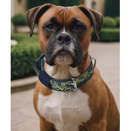 Dog Collar for Large Dogs - 2" Wide Tactical Collars with Handle for Extra Large Breed Dogs, Military Heavy Duty 1/3" Thick Nylon Pet Collar Camo Green L