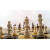 Staunton Design Wooden Chess Pieces with Felt Gliders King Height
