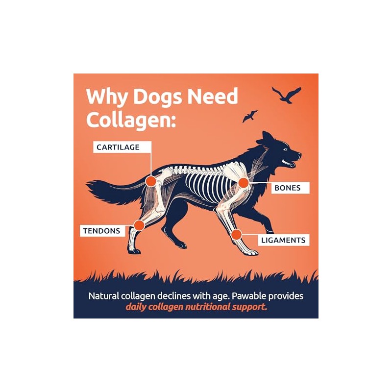 Collagen for Dogs | Dog Joint & Mobility Supplement with