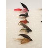 Jackal Outdoors 20 Piece Mixed Wet Trout Flies (Size 14