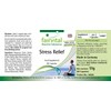 Fairvital Stress Relief Capsules - 60 Capsules - B Vitamins