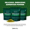 Paleovalley Organic Supergreens Powder - 23 Superfoods with Prebiotic Fiber