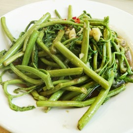 250 Water Mimosa Seeds for Planting- Hat Rau Rut - AKA. Sensitive Plant, Neptunia Oleracea, Perennials, Edible Plants