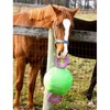 Horsemen's Pride Signature Horsemen's Pride 14-Inch Horse Jolly Tug, Blue