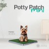 Tapete Entrenador Pasto Sintetico Para Perro 3 Capas