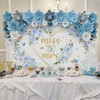 Mocsicka Miss to Mrs Bridal Shower Backdrop Boho Something Blue