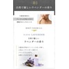 Kazumi KIWABI Root Vanish Color Shampoo, Light Brown, Single Item,