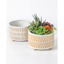 Fayoula Succulent Pots, 6 Inch Succulent Planters with Drainage Hole, Ceramic Planters for Indoor Plants, Round Shallow Plant Pots Set of 2