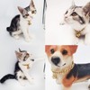 AAAbling 18K Gold Cat Dog Collar Kitten Puppy 1/2inch 12mm