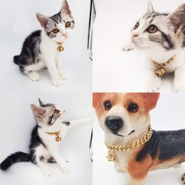 AAAbling 18K Gold Cat Dog Collar Kitten Puppy 1/2inch 12mm Wide Stainless Steel Kitten Choker Curb Chew Proof Cuban Link Chain with Bell (Neck Fit 6"-8")