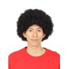 Katsurand Afro Black Wig