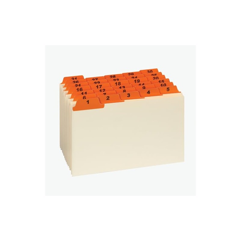 Oxford 05832 Laminated Tab Index Card Guides, Daily, 1/5 Tab,