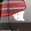 XXL Cat Head Sticker Car Sticker Tuning Sticker Large Version
