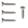Fastenere Flat Head Torx Security Sheet Metal Screws - #14