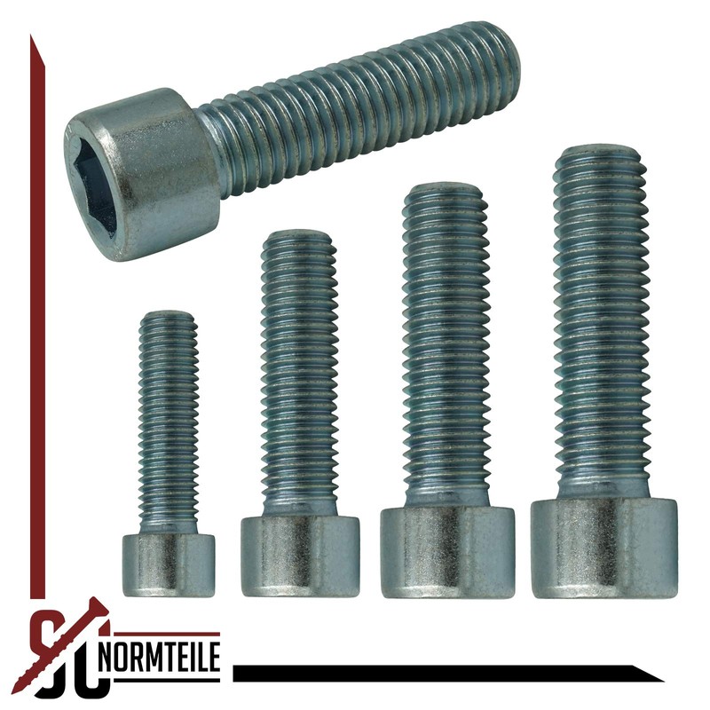Cylindrical Screws with ISK - M10 x 40 mm -