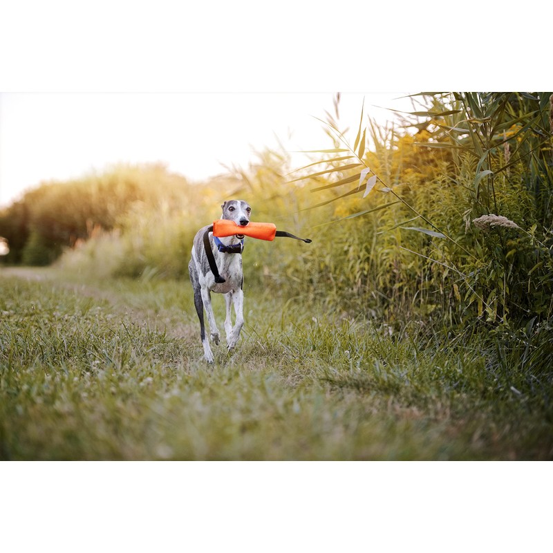 Julius-K9 JK9 MultiDummy with two handles, UV Orange