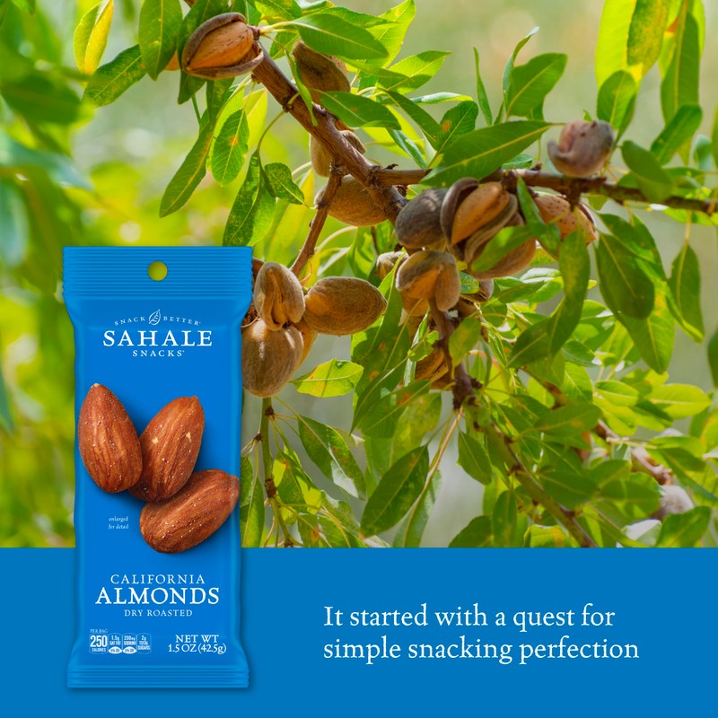 Sahale Snacks California Dry Roasted Almonds, 1.5 oz Grab &