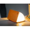 Gingko Mini Harmony Orange Linen Smart Booklight