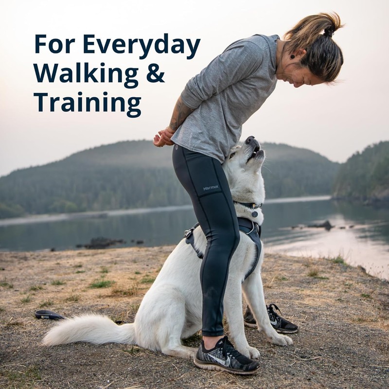 RUFFWEAR Front Range Dog Harness, Reflective Y-Harness, Adjustable, Comfortable Padded