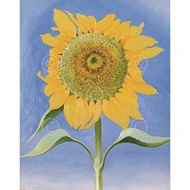 Sunflower New Mexico 1935 by Georgia O'Keeffe Flower Floral Nature Poster (Choose Size of Print)