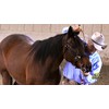 Monty Roberts 5" Thick Copper & Black Iron Horse Snaffle