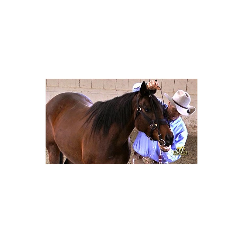Monty Roberts 5" Thick Copper & Black Iron Horse Snaffle