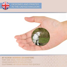 Destination Vinyl ltd Magnet for Refrigerator, Fridge - Cute White Baby Goat Farm Farmer Fun for Office, Cabinet and Whiteboard, Magnetic Stickers, 8650