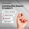 Lactobacillus Gasseri Probiotic Supplement 30 Billion CFU 240 Tablets Probiotics