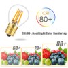Tsunetani-S11 LED Bulb Filament Mini Globe Light Bulbs 4W Equivalent