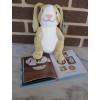 Kohl's Cares Rabbit 10" + 5"x 7" Book "The Happy