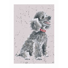 Wrendale Designs Greeting Card - POODLE (Alice)